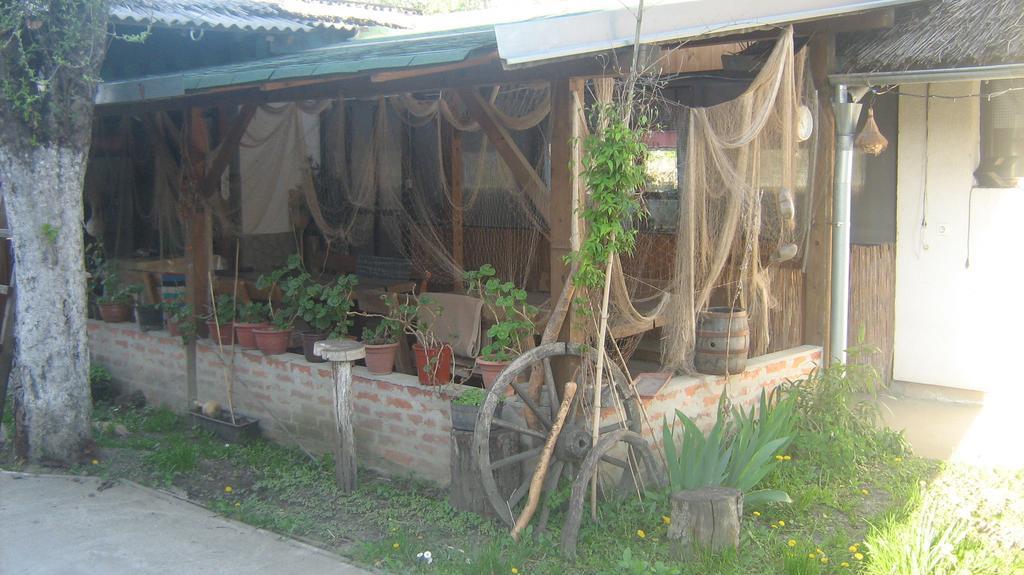 Farm Stay Lackovic Bilje Exterior foto