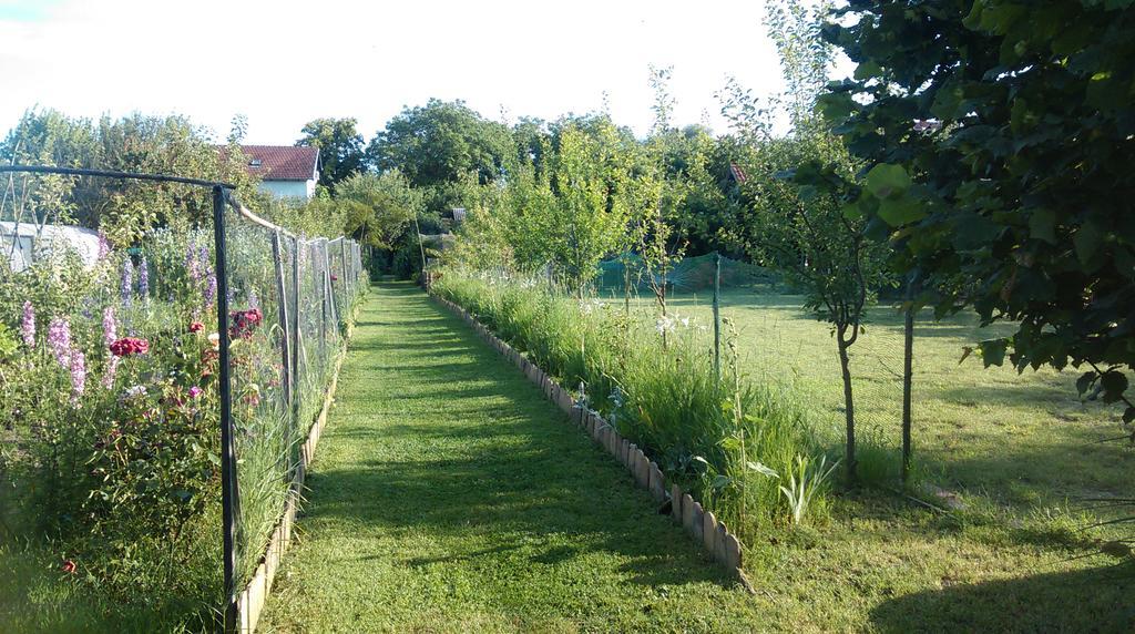 Farm Stay Lackovic Bilje Exterior foto